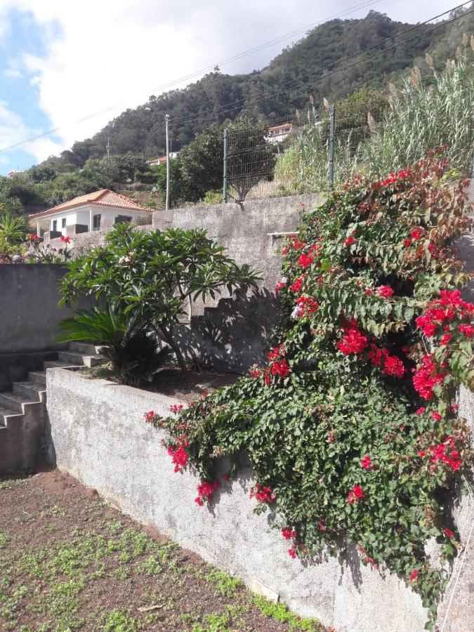 Вилла Panoramic Ocean View House Sao Roque Do Faial Экстерьер фото