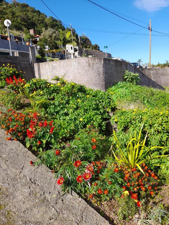 Вилла Panoramic Ocean View House Sao Roque Do Faial Экстерьер фото